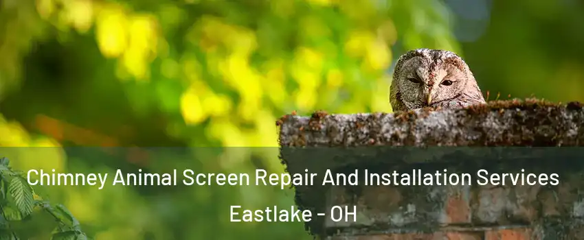  Chimney Animal Screen Repair And Installation Services Eastlake - OH