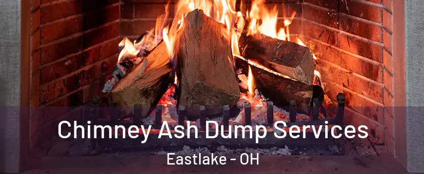  Chimney Ash Dump Services Eastlake - OH