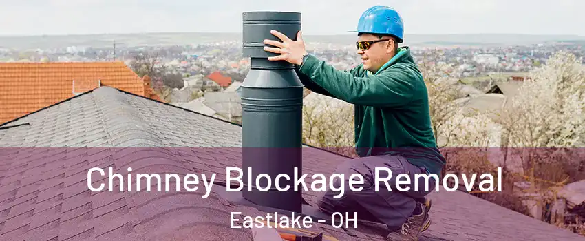  Chimney Blockage Removal Eastlake - OH