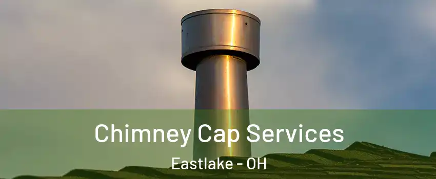  Chimney Cap Services Eastlake - OH