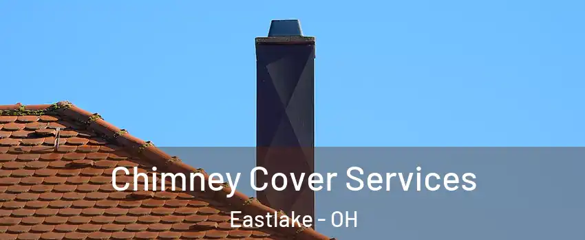  Chimney Cover Services Eastlake - OH