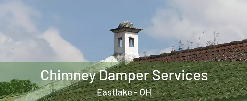  Chimney Damper Services Eastlake - OH