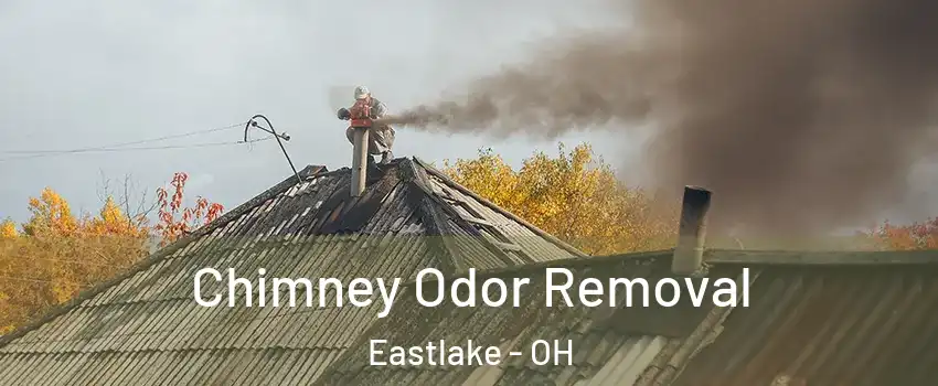  Chimney Odor Removal Eastlake - OH