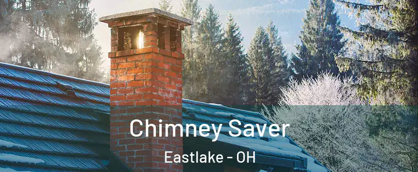  Chimney Saver Eastlake - OH