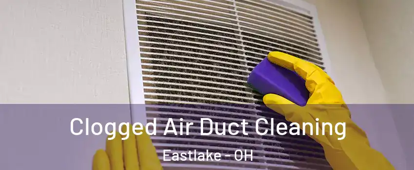  Clogged Air Duct Cleaning Eastlake - OH