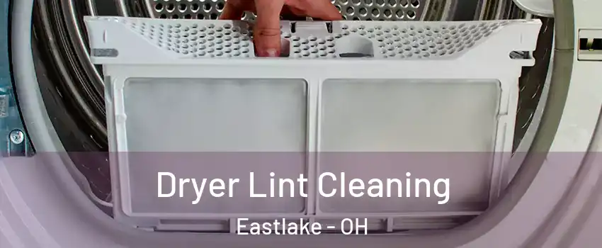  Dryer Lint Cleaning Eastlake - OH