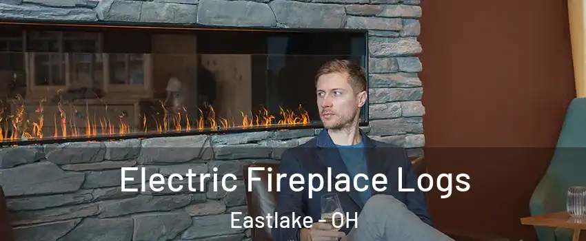 Electric Fireplace Logs Eastlake - OH