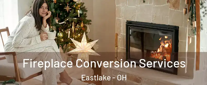  Fireplace Conversion Services Eastlake - OH