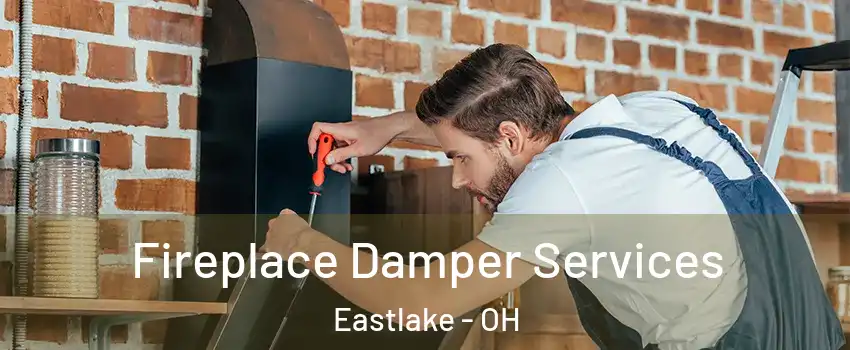  Fireplace Damper Services Eastlake - OH