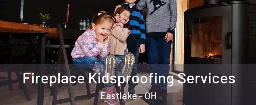  Fireplace Kidsproofing Services Eastlake - OH