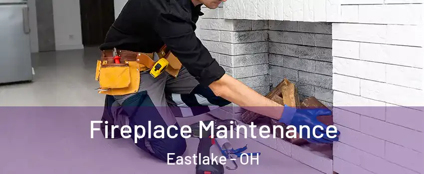  Fireplace Maintenance Eastlake - OH