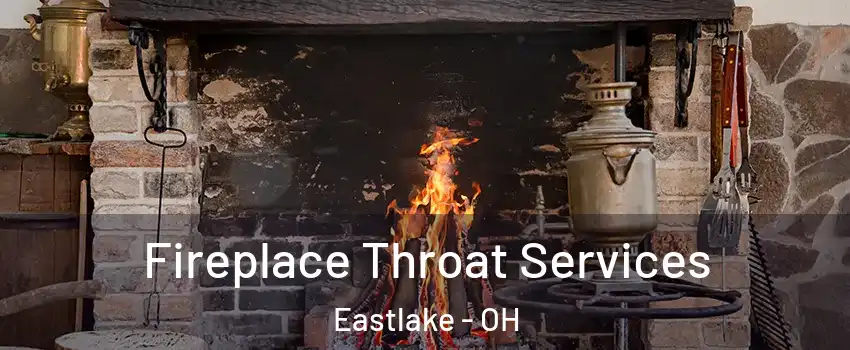  Fireplace Throat Services Eastlake - OH