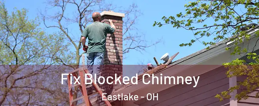  Fix Blocked Chimney Eastlake - OH