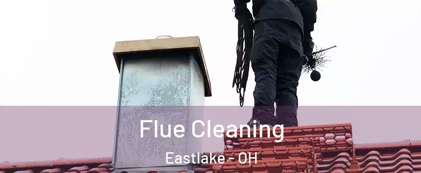 Flue Cleaning Eastlake - OH