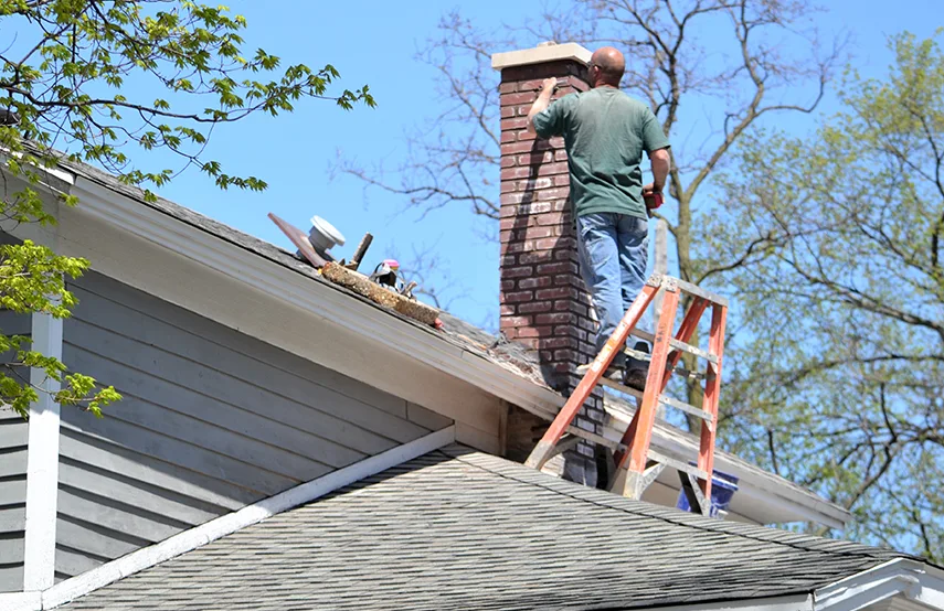 Chimney & Fireplace Inspections Services in Eastlake, OH
