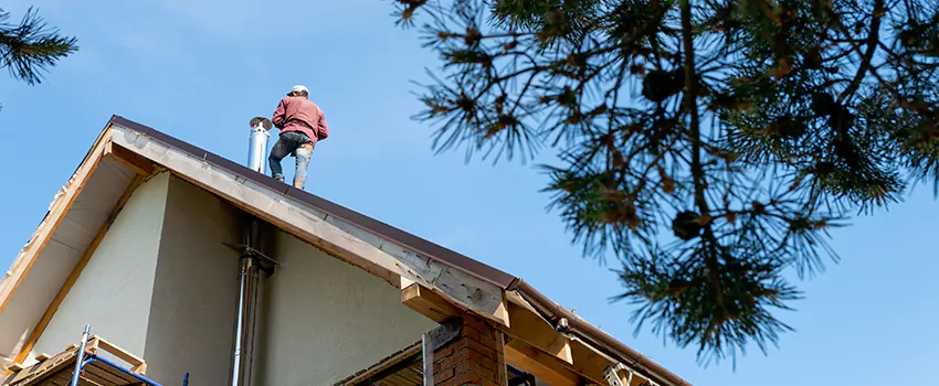 Birds Removal Contractors from Chimney in Eastlake, OH