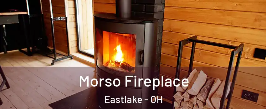  Morso Fireplace Eastlake - OH