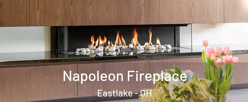  Napoleon Fireplace Eastlake - OH