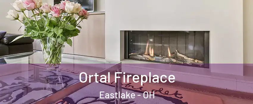  Ortal Fireplace Eastlake - OH