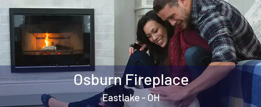  Osburn Fireplace Eastlake - OH