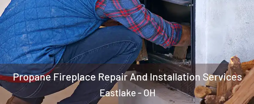  Propane Fireplace Repair And Installation Services Eastlake - OH